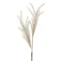 BULRUSH BRĄZOWY 35X93 cm MIN 18